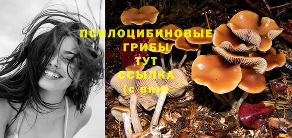 молекула духа Липки