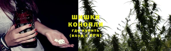 молекула духа Липки