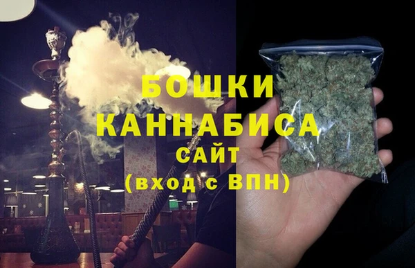 индика Иноземцево