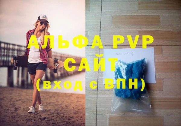 стаф Бердск