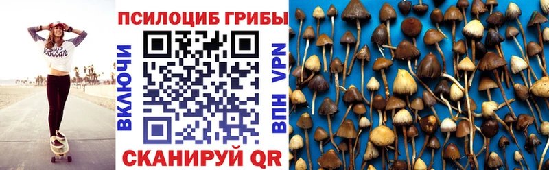 Галлюциногенные грибы прущие грибы  купить наркотик  Дмитров 