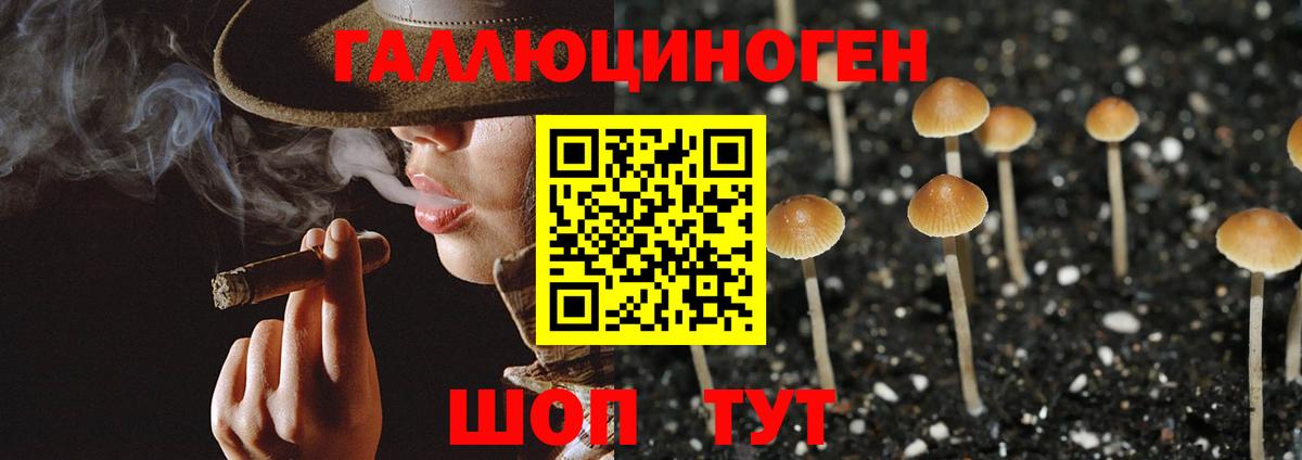 Галлюциногенные грибы мицелий Дмитров