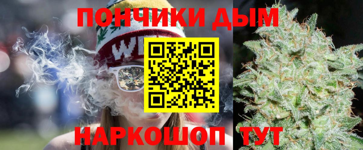 Бошки Шишки планчик  Бошки марихуана Ganja  Дмитров  Бошки Шишки индика 